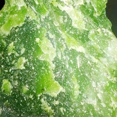 Nephrite Jade